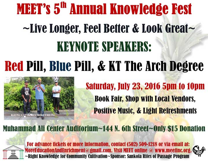 MEET knowledge fest web